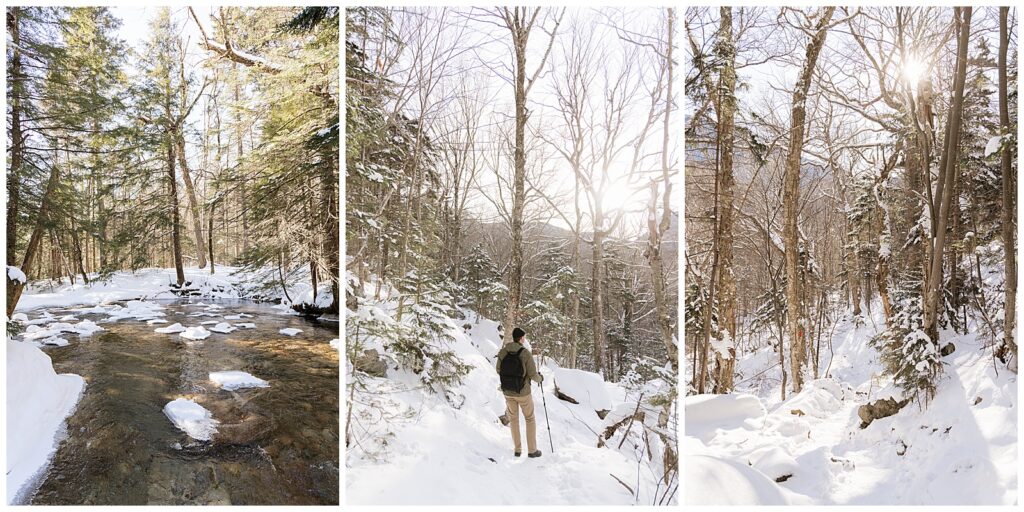 tripdic of images of winter wonderland in the woods