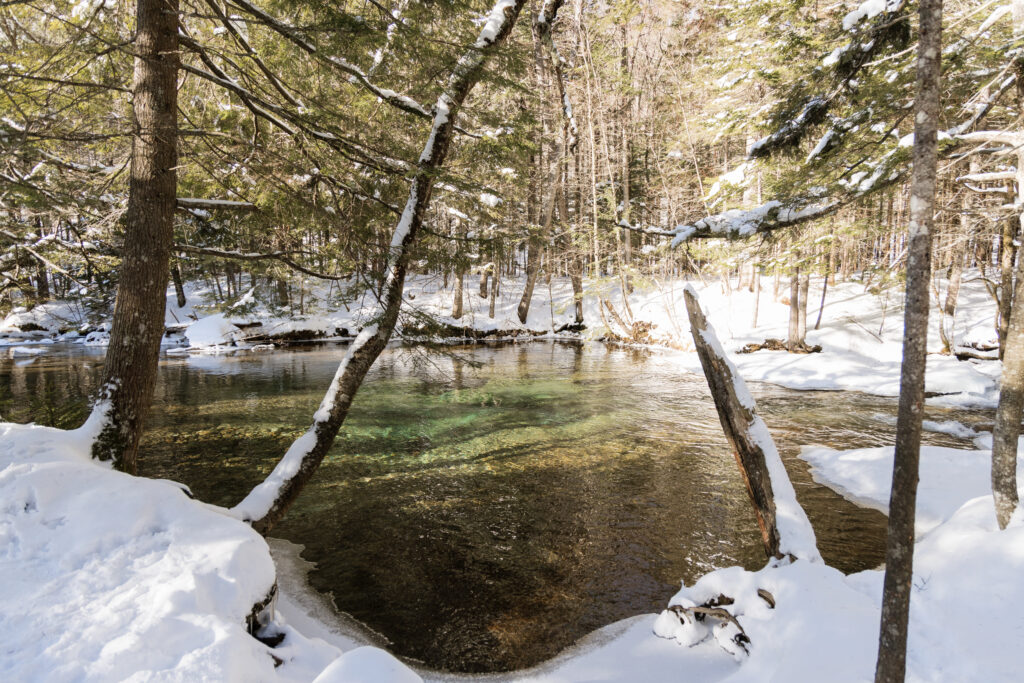 Frozen water in state park