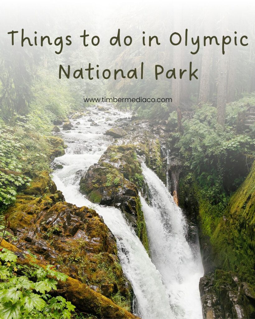 olympic national park waterfall
