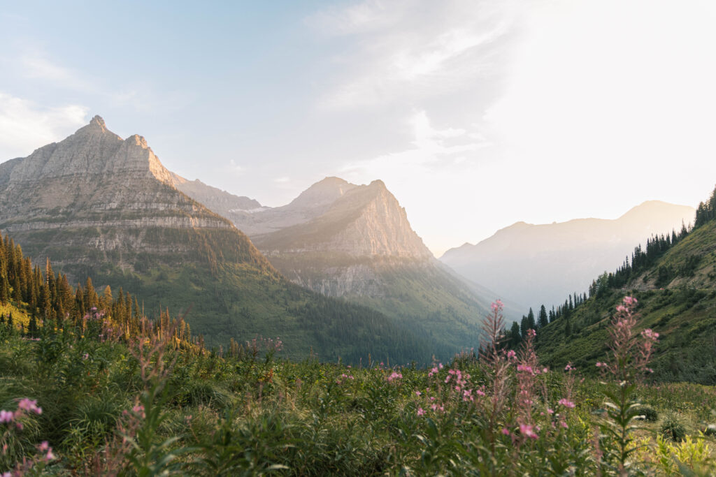 mountain range in glacier national park