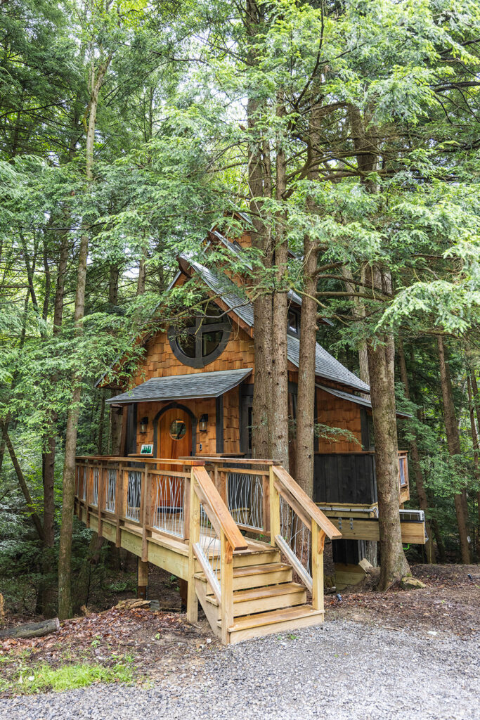 treehouse airbnb in the woods